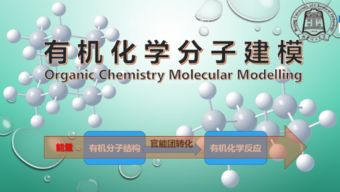 分子建模设计方案的简单介绍