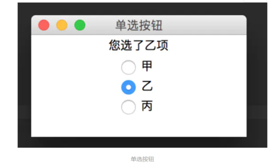设计单选按钮,单选按钮的名称