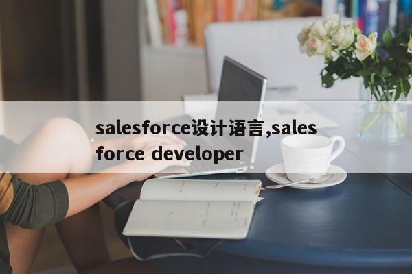 salesforce设计语言,salesforce developer